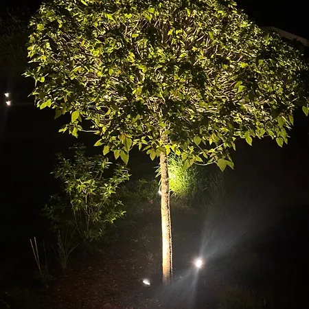 Track N Chill * Windhagen