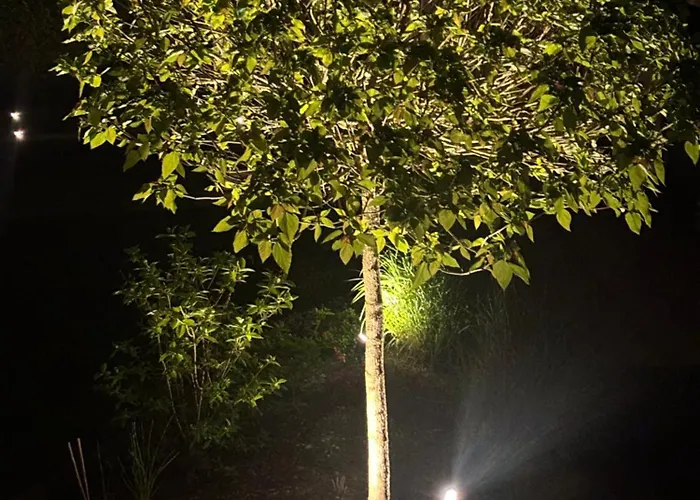 Track N Chill * Windhagen