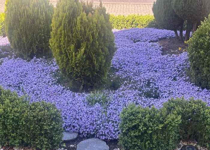 Track N Chill Apartamento Windhagen